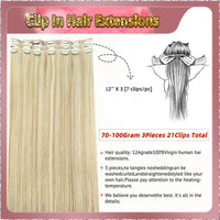 22'' Clip In Hair Extensions 3 Pieces 21 Clips Standard Full Head（Blonde）