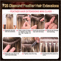 26'' On Darker Range F28 Diamond Feather Hair Extensions  100 Strands Standard Full Head  25