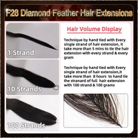 26'' On Darker Range F28 Diamond Feather Hair Extensions  100 Strands Standard Full Head  25