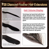 26'' On Darker Range F28 Diamond Feather Hair Extensions  100 Strands Standard Full Head  25