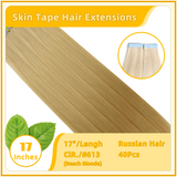 17" 40 Pieces (20 Sandwiches) Skin Tape Hair Extensions