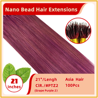 21" #PTZ2 100 Strands  Asia  Hair Nano Bead Hair Extensions Grape Purple