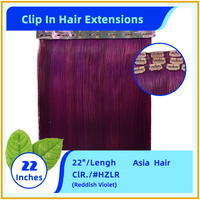 22" #HZLR  Asia Hair Clip In Hair Extensions Reddish Violet
