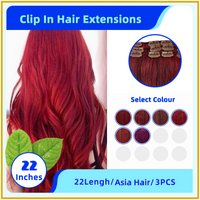 22" 3PCS Invisiable 21 Stainless Steel Asia Hair Clip In Hair Extensions